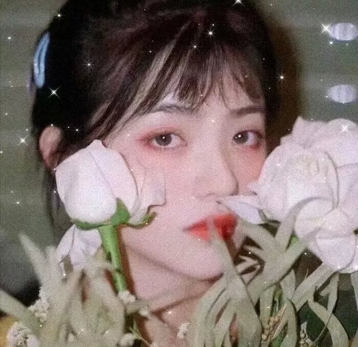 篮球少年张