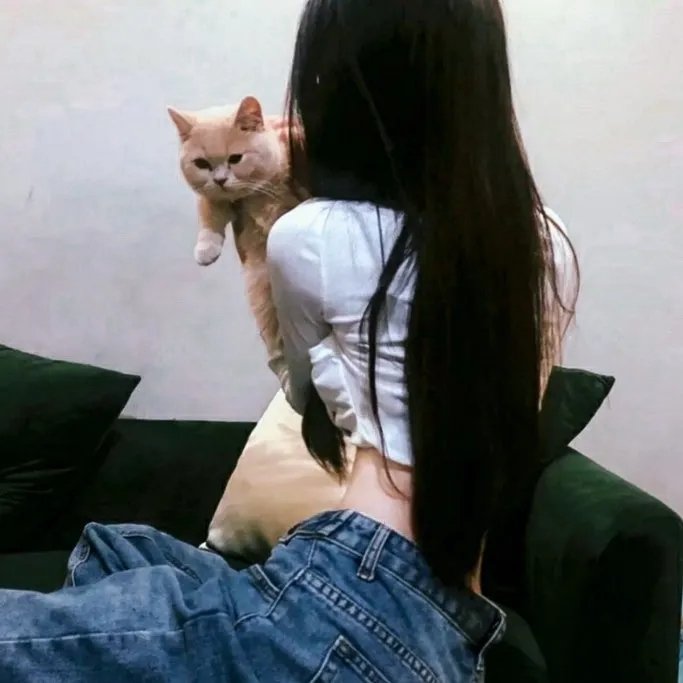 直面脂肪