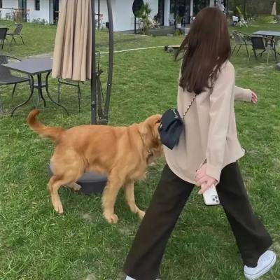 镜中镜