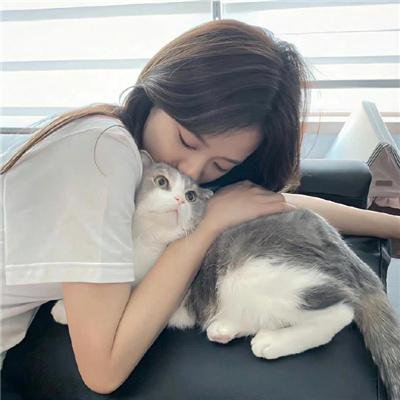 防线